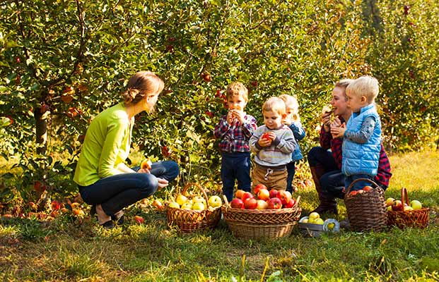 Kinder ernten Äpfel