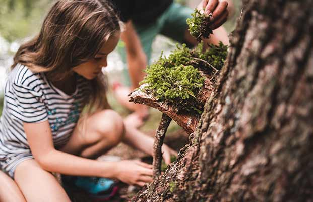 Kinder spielen im Wald