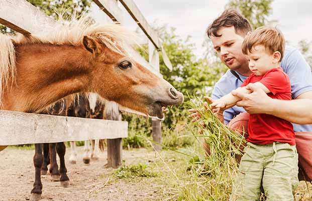 Alle Bauernhöfe in Südtirol