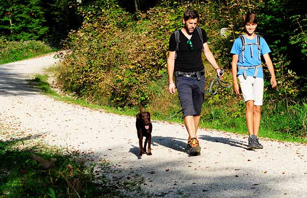 Wanderung mit einem Hund