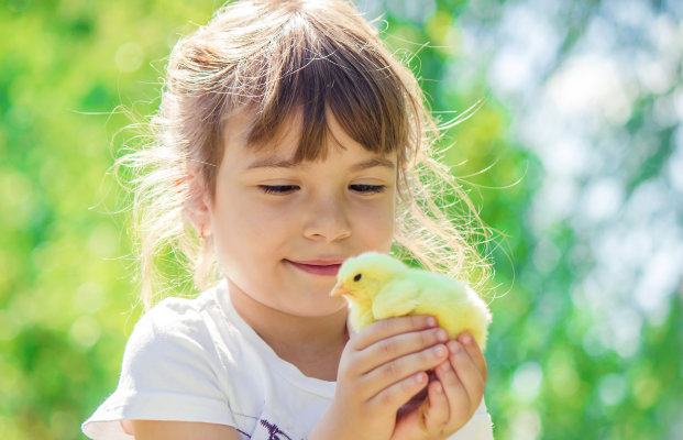 Kind hält ein Küken in der Hand