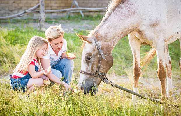 Mutter und Tochter füttern Pferd