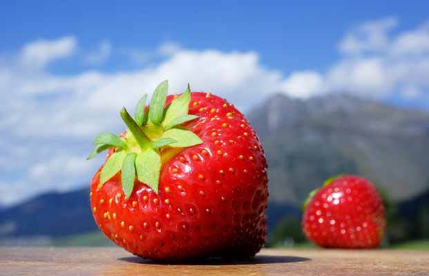 Erdbeerfest im Martelltal
