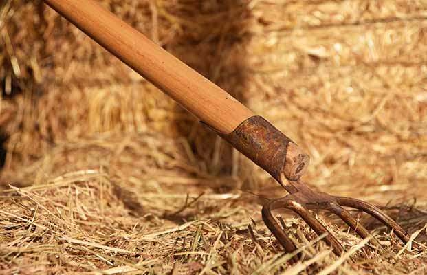 Heugabelfest in Innichen